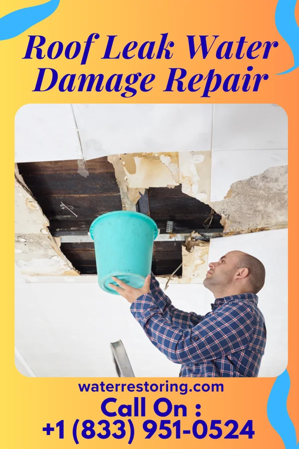 Roof Leak Water Damage Repair in St. John, WA